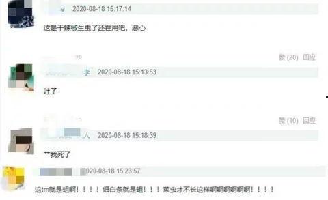 嘉欣爆料鹤轩聊天记录视频,揭秘背后惊人真相  第3张